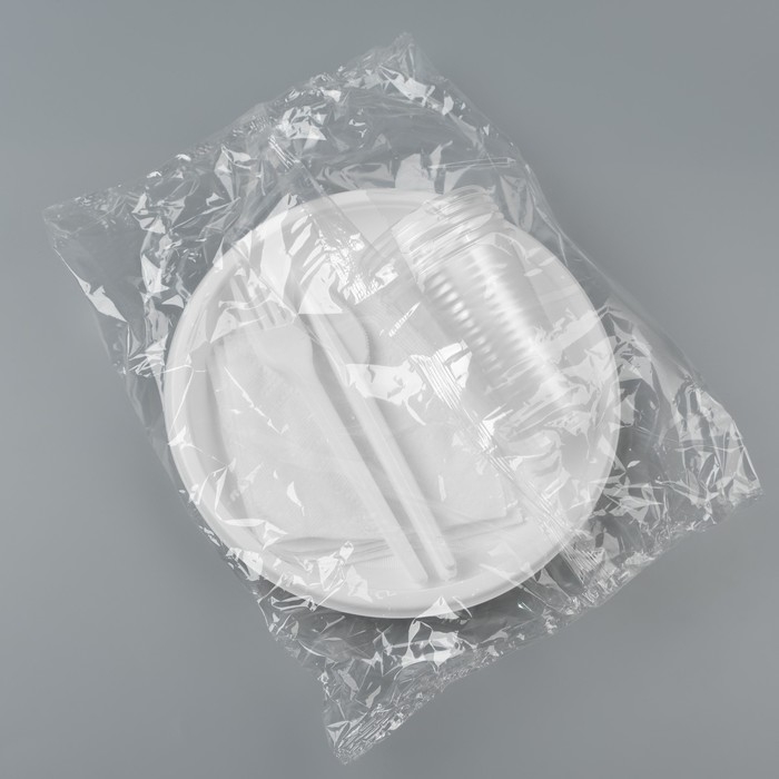 Набор одноразовой посуды &laquo;Пикник&raquo; 6 персон, тарелки 20х21 мм, стаканы 200 мл, вилки, ножи, с