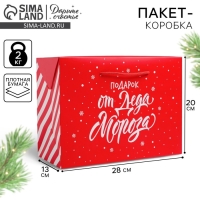 Пакет-коробка &laquo;Подарок&raquo;, 28 х 20 х 13 см, Новый год