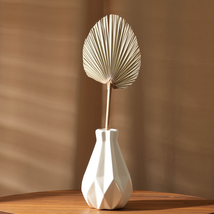 Сухие цветы &laquo;Лист пальмовый&raquo;, 52 &times; 14 &times; 2 см