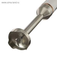 Блендер Centek CT-1347, погружной, 800 Вт, 0.6 л, 2 скорости, белый