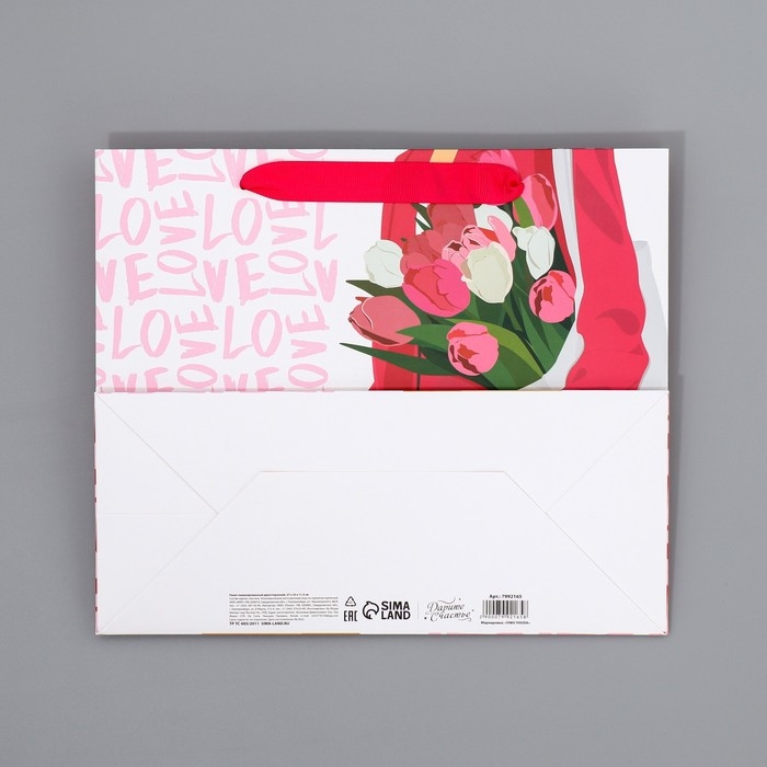 Пакет подарочный ламинированный двухсторонний, упаковка, &laquo;Стиль&raquo;, ML 23 х 27 х 11,5 см