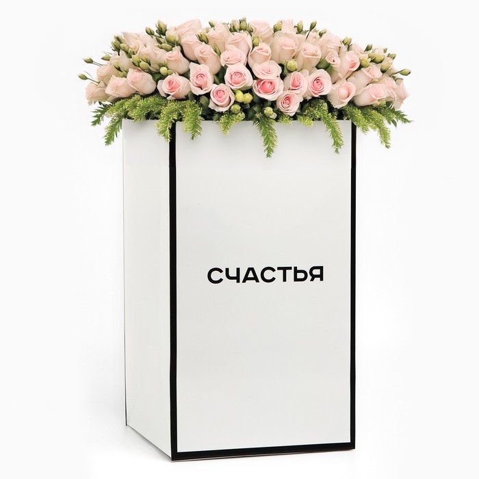 Переноска для цветов с вкладышем для фиксации, «Счастье», белый, 35 х 20 х 20 см Переноска для цветов с вкладышем для фиксации, «Счастье», белый, 35 х 20 х 20 см