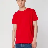 Футболка Regent 150 красная, размер 4XL