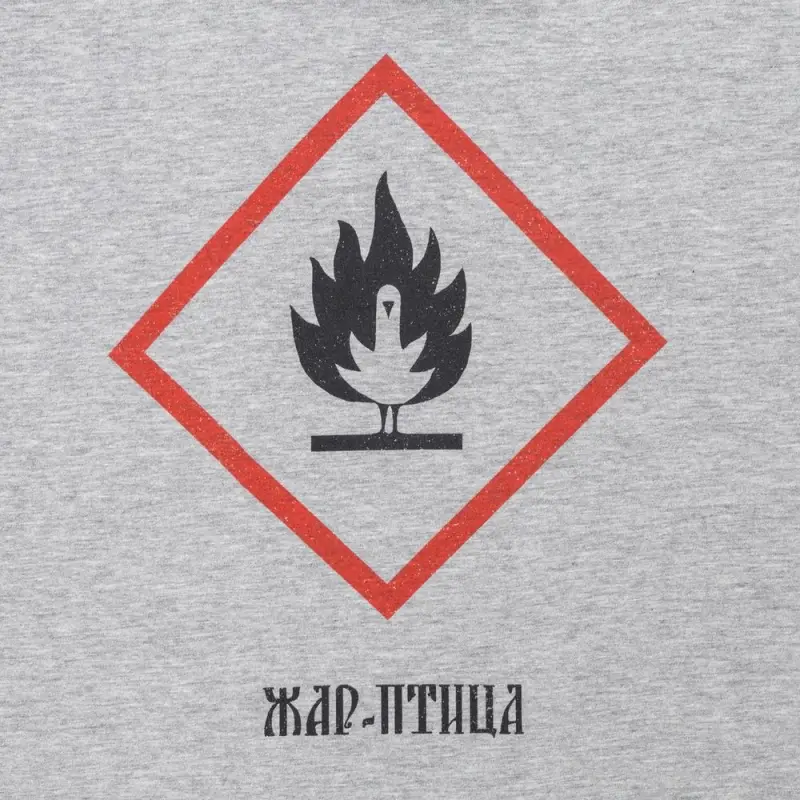 Футболка &laquo;Жар-птица&raquo;, серый меланж, размер S