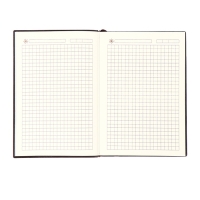 Ежедневник недатированный, формат А6+,116 листов, клетка, ЛАЙТ Коричневый, тониров. срез Ежедневник недатированный, формат А6+,116 листов, клетка, ЛАЙТ Коричневый, тониров. срез