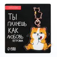 Брелок для ключей акриловый &laquo;Котик&raquo;, 6 х 5,4 см