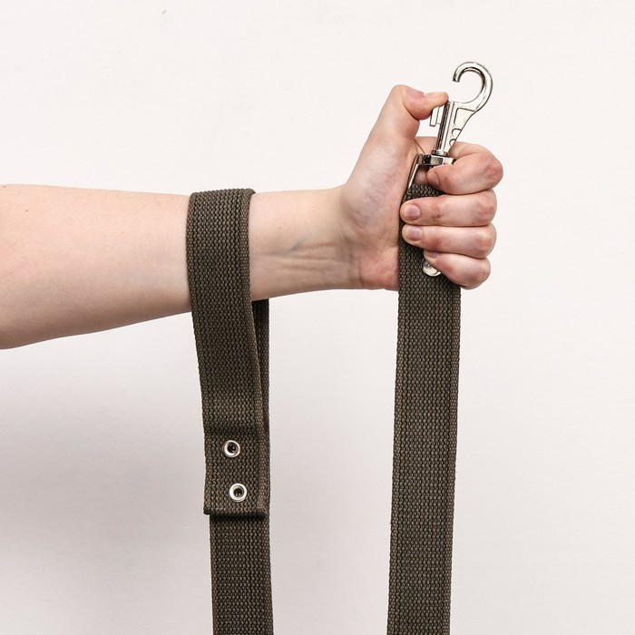 Поводок брезентовый 2 м х 3,5 см, тёмно-зелёный