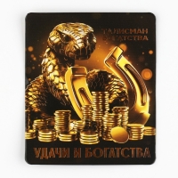 Кошельковый талисман новогодний &laquo;Новый год: Удачи и богатства&raquo;, фигурка, 7 х 10 см,