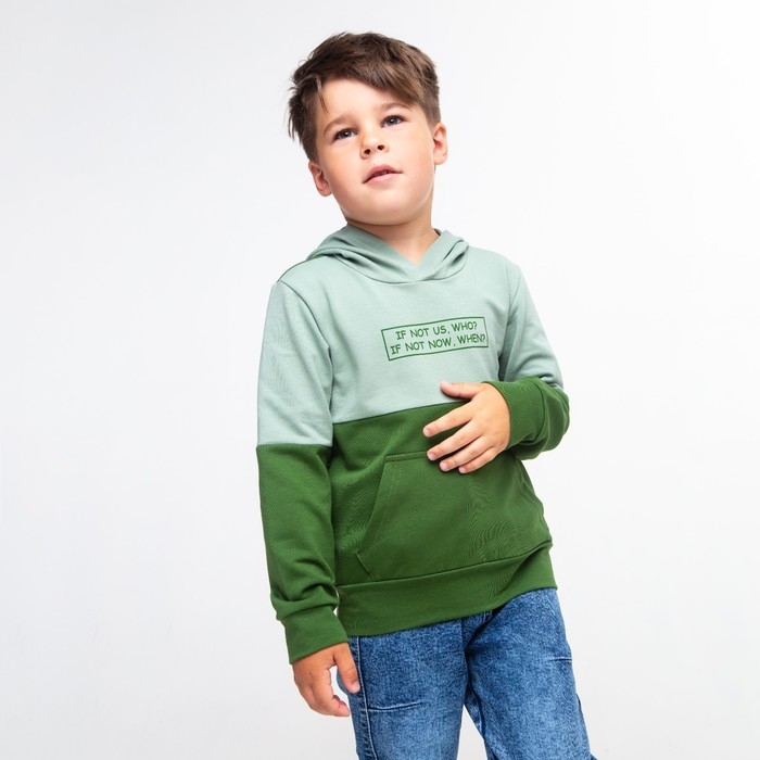 Толстовка для мальчика, цвет серо-зелёный, рост 104 см Толстовка для мальчика, цвет серо-зелёный, рост 104 см