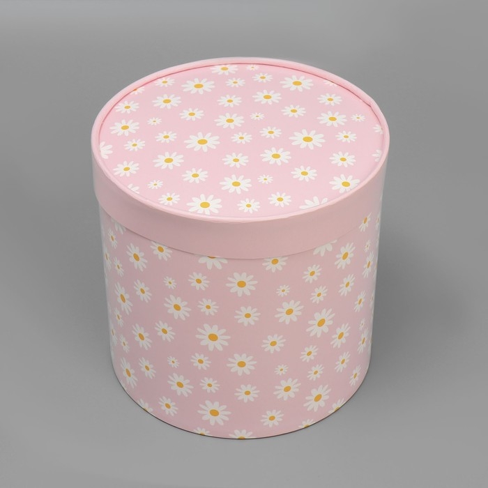 Набор шляпных коробок 4 в 1, упаковка подарочная, &laquo;Ромашки&raquo;, 12 х 12 - 20 х 20 см
