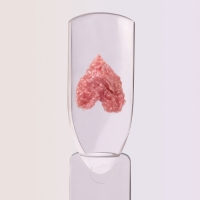 Гель для ногтей, гипсовый, фактурный, 8 мл, LED/UV, розовый Гель для ногтей, гипсовый, фактурный, 8 мл, LED/UV, розовый