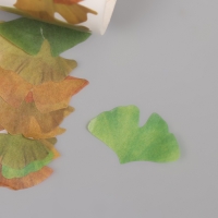 Клейкая лента бумага "Листья гинкго" 50 картинок 3,5х3,5х3.7 см Клейкая лента бумага "Листья гинкго" 50 картинок 3,5х3,5х3.7 см