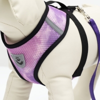 Комплект для собак 8-12 кг, размер L, поводок 120 х 1,5 см, ОШ 34 см, ОГ 46 см