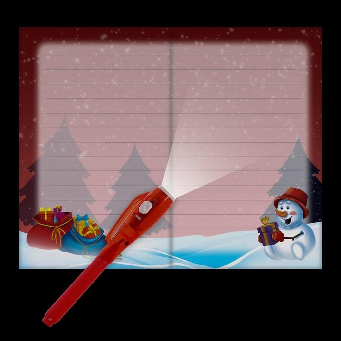 Набор для опытов &laquo;Волшебное письмо Деду Морозу: Дед Мороз и олень&raquo;