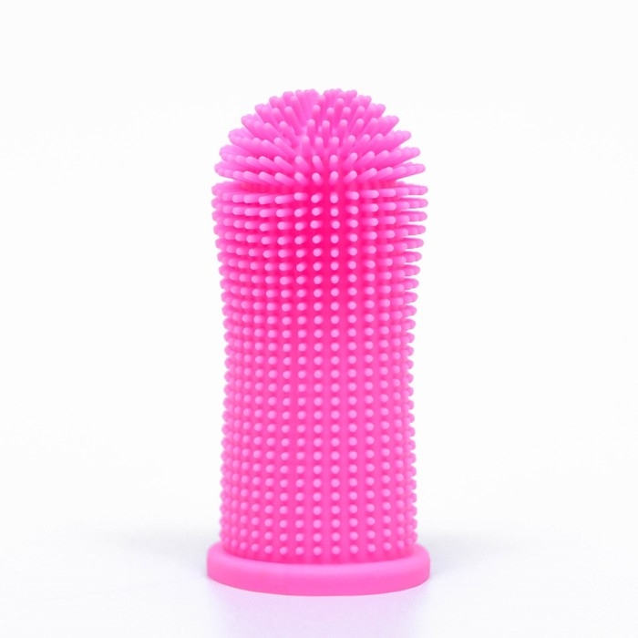 Щётка для чистки зубов животных, 5,5 х 2,5 см, розовая, контейнер 7 х 4 см Щётка для чистки зубов животных, 5,5 х 2,5 см, розовая, контейнер 7 х 4 см