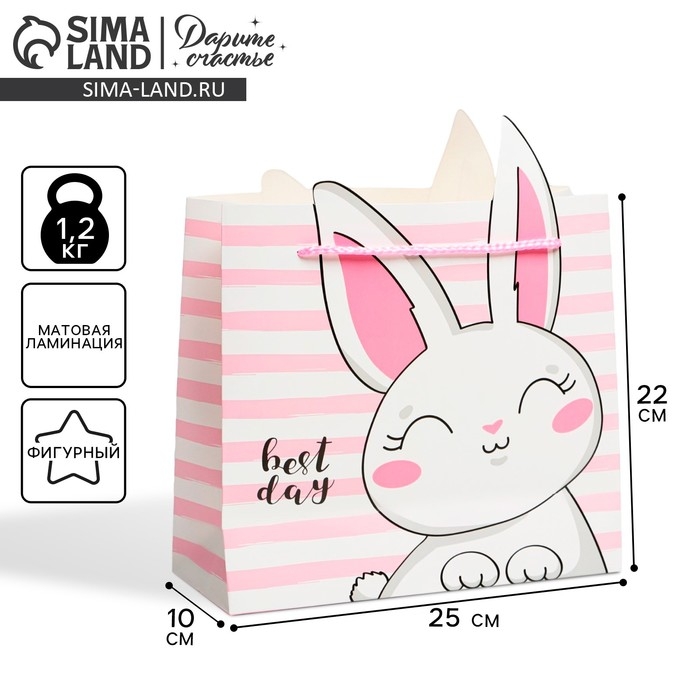 Пакет подарочный, упаковка, &laquo;Best day&raquo;, 25 х 26 х 10 см