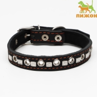 Ошейник кожаный на синтепоне украшенный, безразмерный, 47 х 2 см, ОШ 28-39 см, чёрный Ошейник кожаный на синтепоне украшенный, безразмерный, 47 х 2 см, ОШ 28-39 см, чёрный