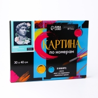 Картина по номерам на холсте с подрамником &laquo;Давид&raquo;, 30х40 см