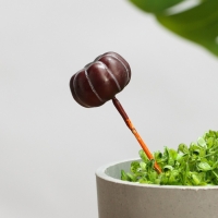 Набор штекеров "Тыковка" 30шт, 4х2см Набор штекеров "Тыковка" 30шт, 4х2см