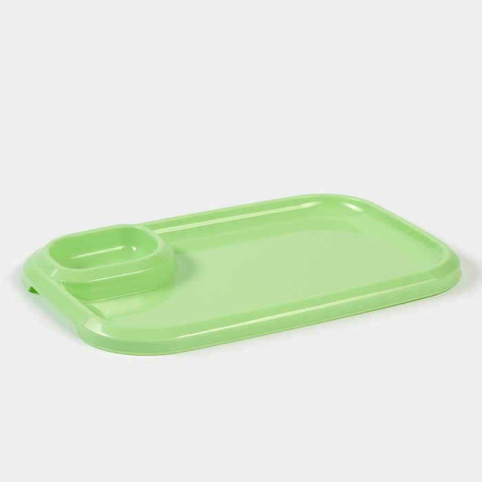 Блюдо для шашлыка с соусницей 30,3×21×2,5 см, цвет зеленый Блюдо для шашлыка с соусницей 30,3×21×2,5 см, цвет зеленый