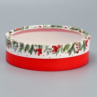 Коробка для макарун тубус с окном «Новогодняя ботаника», 20 х 20 х 5 см, Новый год Коробка для макарун тубус с окном «Новогодняя ботаника», 20 х 20 х 5 см, Новый год