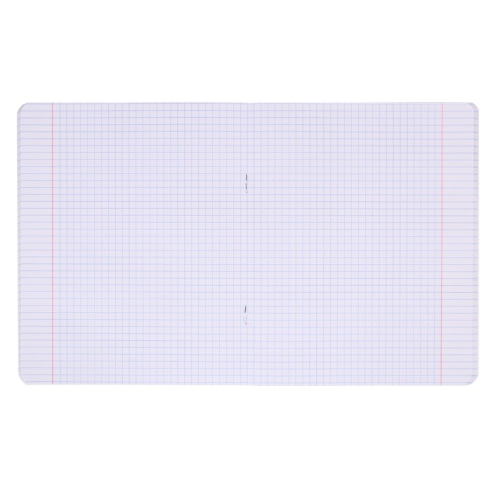 Тетрадь 48 листов в клетку Тетрадь 48 листов в клетку "Кто здесь?", обложка мелованный картон, выборочный лак, блок офсет, МИКС