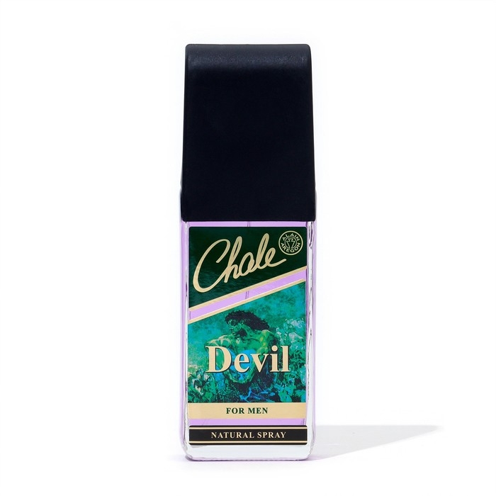 Туалетная вода мужская Chale Devil, 100 мл