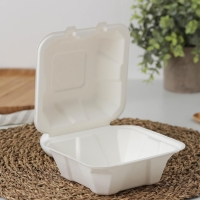 Ланч - бокс для бенто-торта и бургера, 450 мл, сахарный тростник, 10 шт/уп