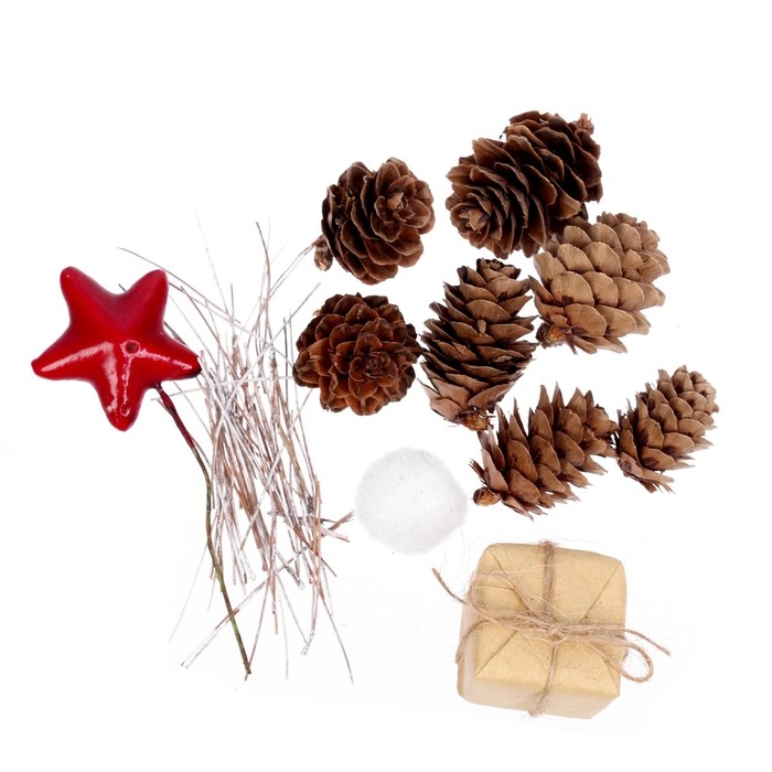 Набор новогоднего декора "Незабываемый праздник" размер шишек: 1,5 &times; 2 см