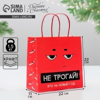 Пакет подарочный новогодний &laquo;Это на новый год&raquo;, 22 х 22 х 11 см, Новый год