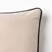 Наволочка декоративная Этель «Кант», 45х45, цвет бежевый, велюр (100% пэ) Наволочка декоративная Этель «Кант», 45х45, цвет бежевый, велюр (100% пэ)