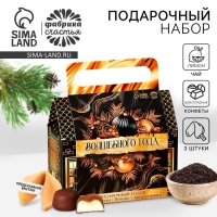 Подарочный набор новогодний &laquo;Волшебного года&raquo;: чай, печенье, конфеты