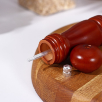 Мельница для специй Доляна &laquo;Дуновение леса&raquo;, 15,5 см, керамический механизм, цвет коричневый