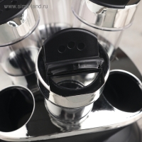 Набор для специй &laquo;Конус&raquo;, 100 мл, на подставке, 6 шт