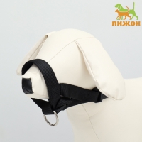 Недоуздок-намордник для собак строгий, размер M, ОM 15-26 см, ОШ 13-20 см, черный Недоуздок-намордник для собак строгий, размер M, ОM 15-26 см, ОШ 13-20 см, черный