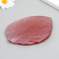 Молд пластик "Основной лист большой" 13,5х10,5 см  МИКС