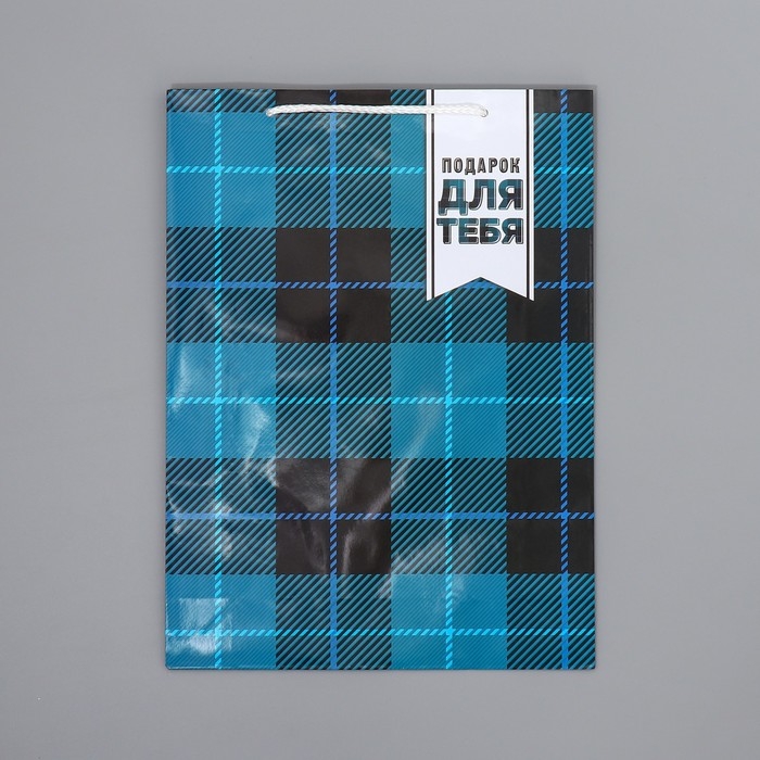 Пакет подарочный ламинированный, упаковка, Real man, L 28 х 38 х 9 см Пакет подарочный ламинированный, упаковка, Real man, L 28 х 38 х 9 см