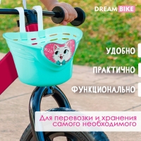 Корзинка детская Dream Bike &laquo;Мяу!&raquo;, цвет бирюзовый