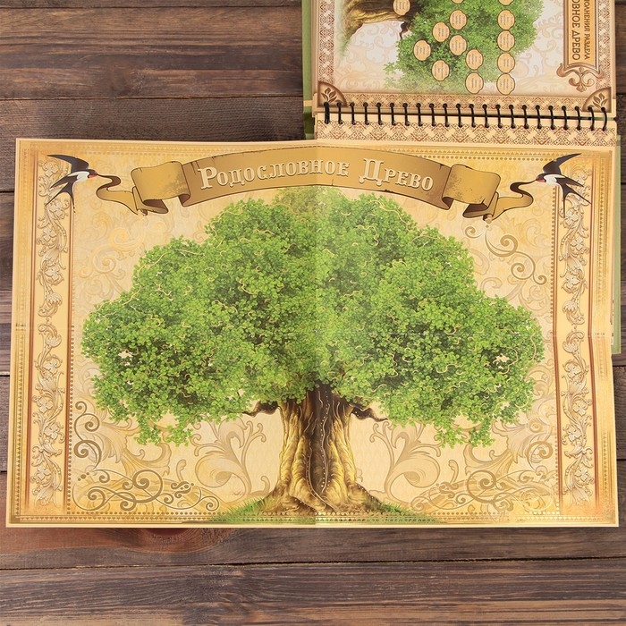 Родословная книга «Семейная летопись», 30 листов, 24,5 х 29,2 см Родословная книга «Семейная летопись», 30 листов, 24,5 х 29,2 см