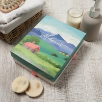 Набор махровых салфеток "Закат" 30х30 см -5шт, 100% хл, 340гр/м2 Набор махровых салфеток "Закат" 30х30 см -5шт, 100% хл, 340гр/м2