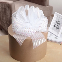 Бант - шар №10 «Полоски», белый Бант - шар №10 «Полоски», белый