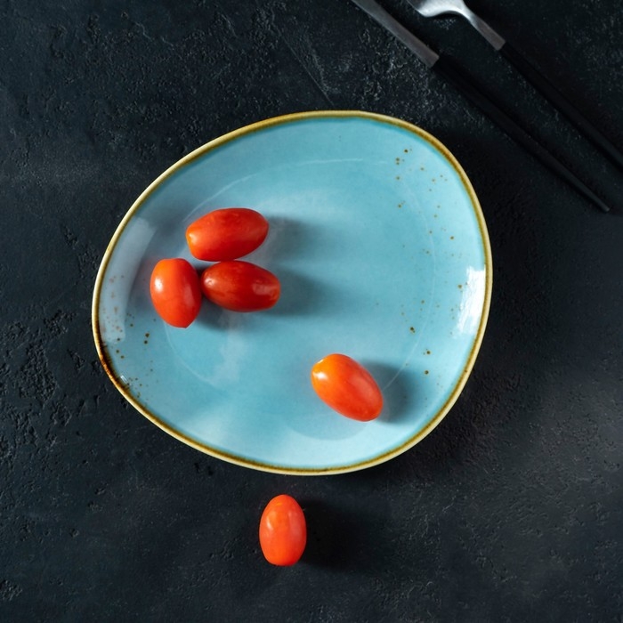 Блюдо фарфоровое для подачи Magistro «Церера», 18,2×16,3 см, цвет голубой Блюдо фарфоровое для подачи Magistro «Церера», 18,2×16,3 см, цвет голубой