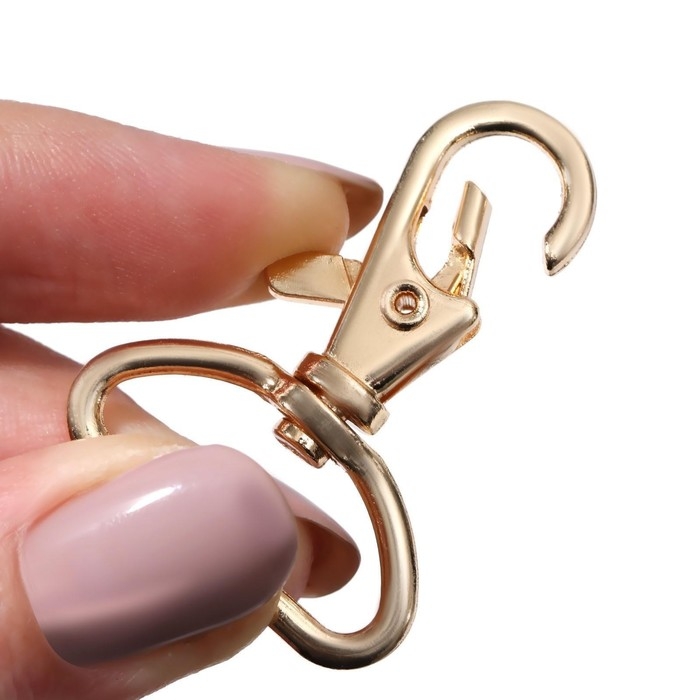 Карабин металлический, 41 × 30 мм / 25 × 2,5 мм, 5 шт, цвет золотой Карабин металлический, 41 × 30 мм / 25 × 2,5 мм, 5 шт, цвет золотой