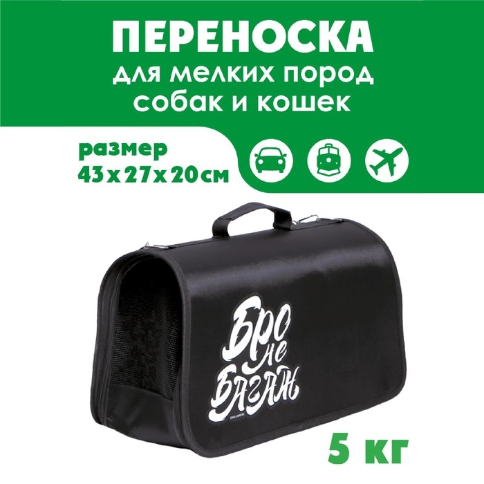 Сумка - переноска раскладная &laquo;Бро не багаж&raquo; 43х27х20 см