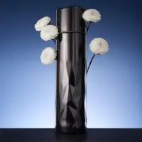 Термос Gems Black Morion, черный морион