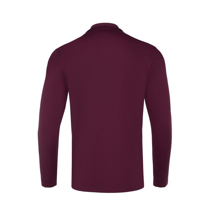 Поло мужское с длинным рукавом, цвет бордовый, размер 44 (S)