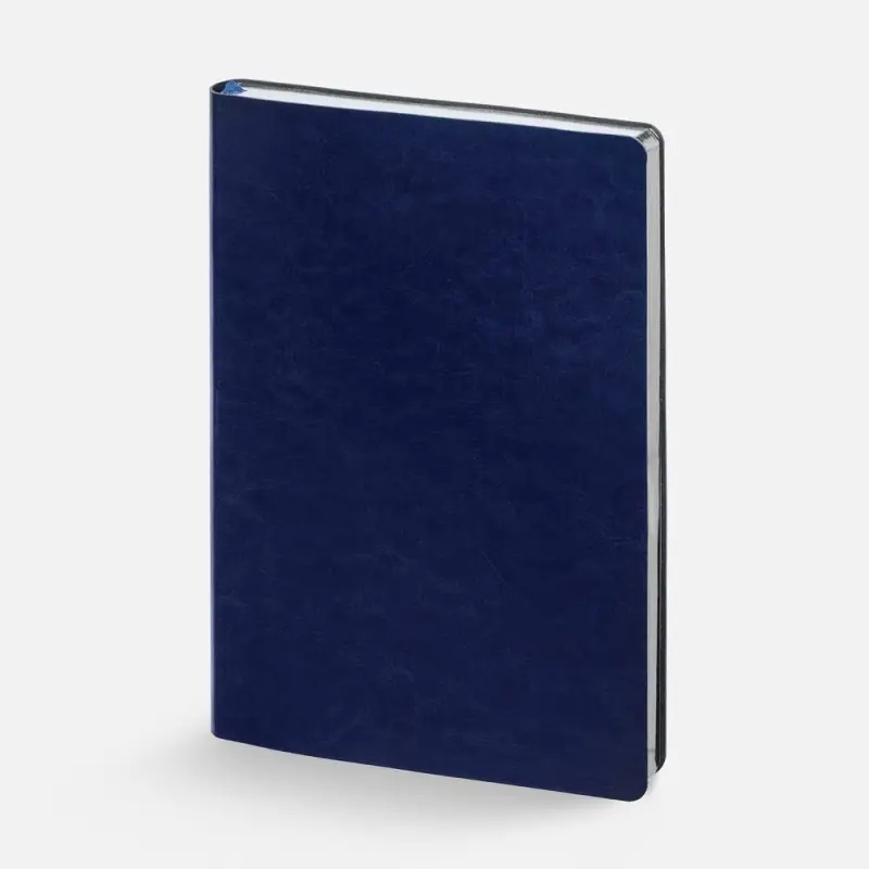 Ежедневник Nebraska Flex, недатированный, синий с серебром