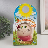 Растущий подарок травка Экоживчик "Киса" МИКС Растущий подарок травка Экоживчик "Киса" МИКС