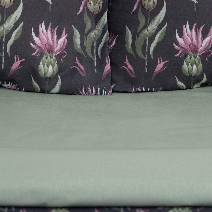 Постельное бельё Этель евро &laquo;Артишок&raquo; 200 х217 см, 220х240 см, 50х70 см -2 шт, поплин