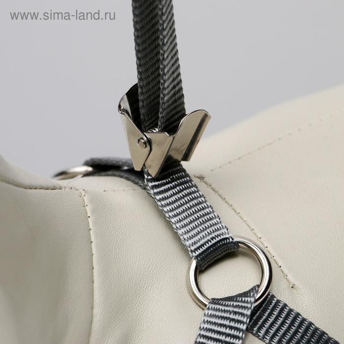 Комплект амуниции с мягкой шлейкой, М, поводок 120 х 1 см, ОШ 28-48 см, ОГ 32-52 см, красный 47310 Комплект амуниции с мягкой шлейкой, М, поводок 120 х 1 см, ОШ 28-48 см, ОГ 32-52 см, красный 47310